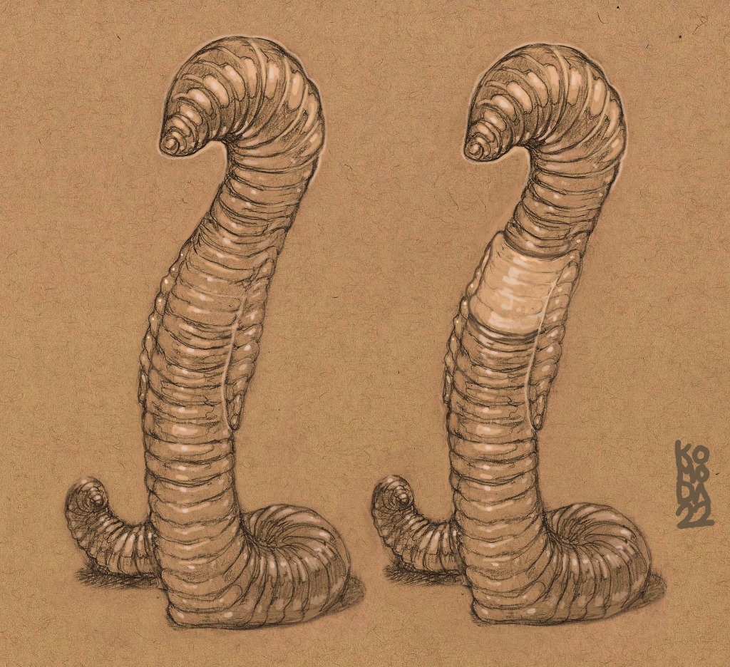 Drawings of the final Heidi Klum worm suit design, neither of which have a face yet. The right design still retains the clitellum (the smooth band which earthworms use for reproductive purposes)
